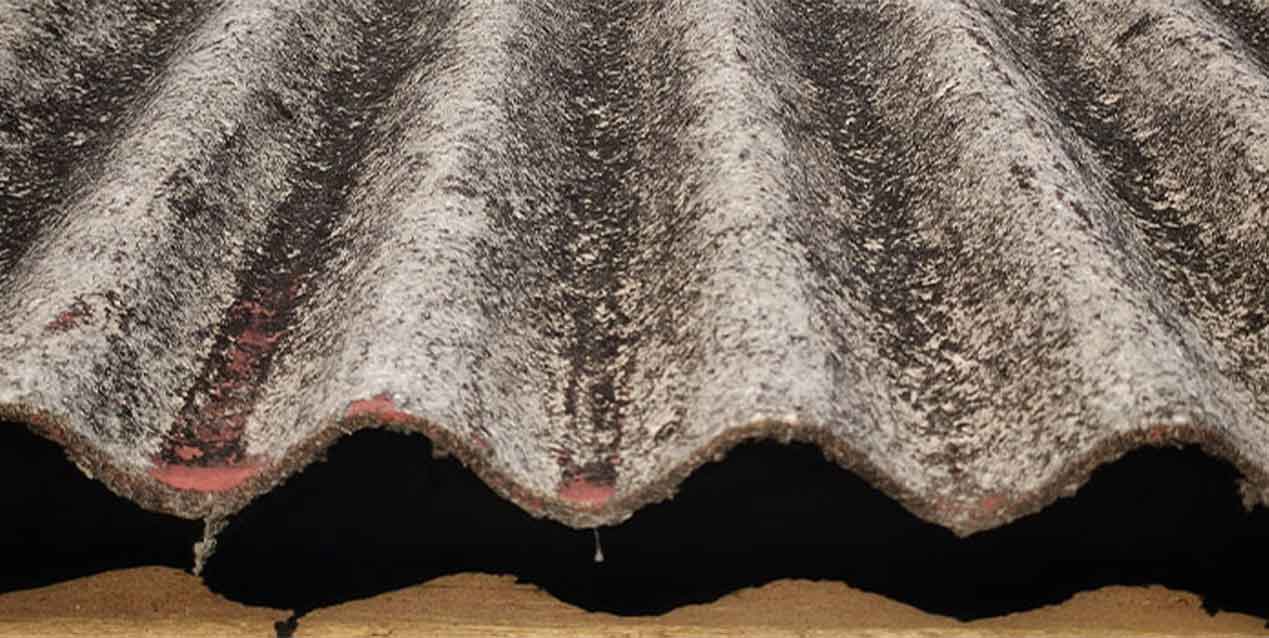 Standing Against Asbestos: ANMF Calls for Action in Indonesia